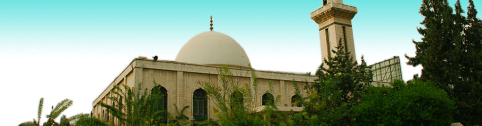 chef cook slide show