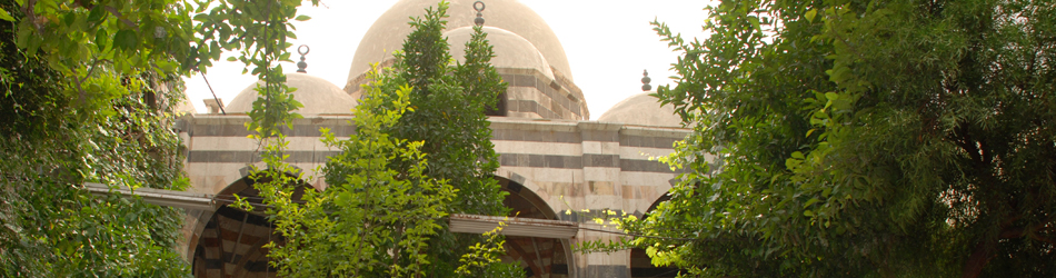 chef cook slide show